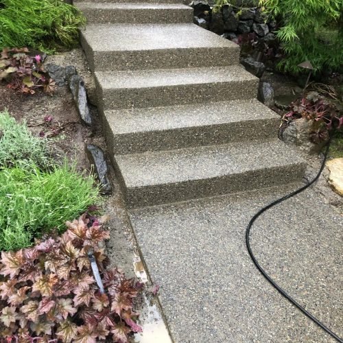 WhatsApp Image 2025-06-24 at 9.05.03 AM